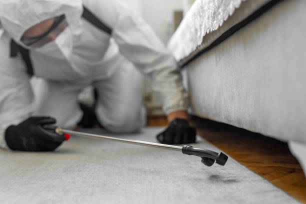 Professional Mosquito Control technician working in Columbine Valley, CO