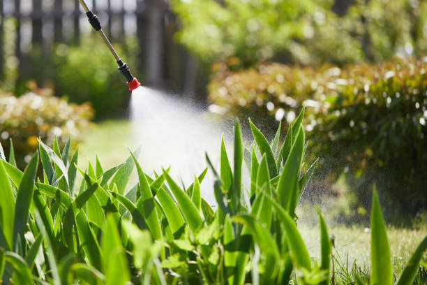 24/7 Emergency Mosquito Control experts in Columbine Valley, CO